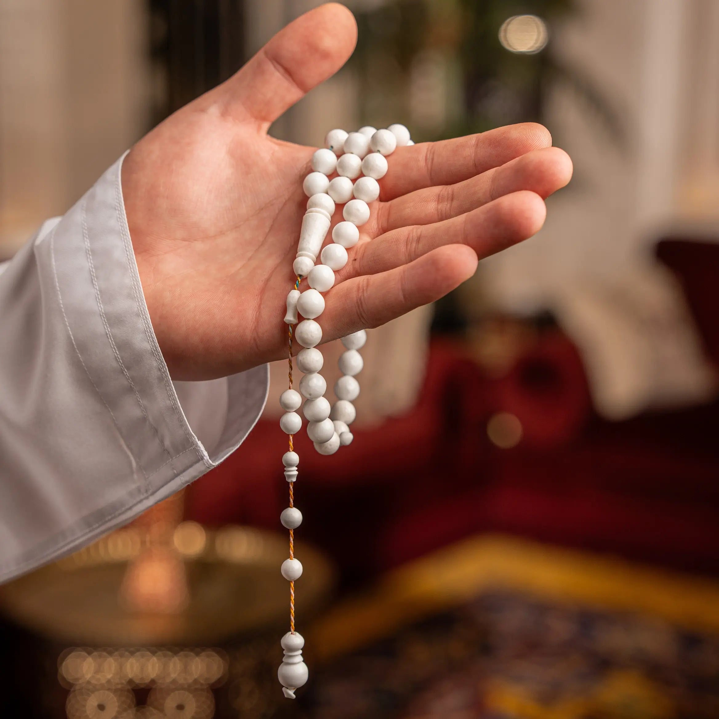 عظم جمل 003